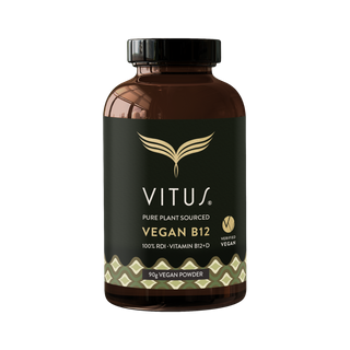 VEGAN B12 90G POWDER