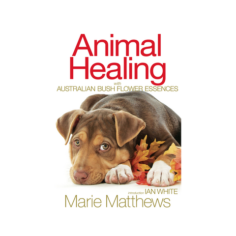 ANIMAL HEALING BOOK