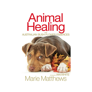 ANIMAL HEALING BOOK