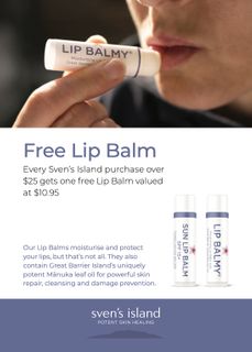 SVENS A6 STRUT CARDS (FREE LIP BALM)