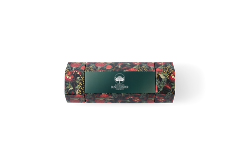 ABFE CHRISTMAS GIFT BOX