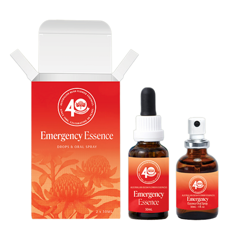 ABFE 40 YEAR ANNIVERSARY SPECIAL PACK