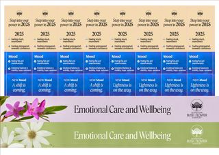 ABFE 2025/2026 MOOD SHELF TALKER A4
