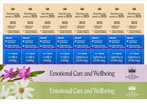 ABFE 2025/2026 MOOD SHELF TALKER A4