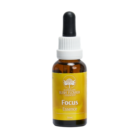 FOCUS DROPS 30ML