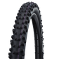 Schwalbe Tyre Dirty Dan