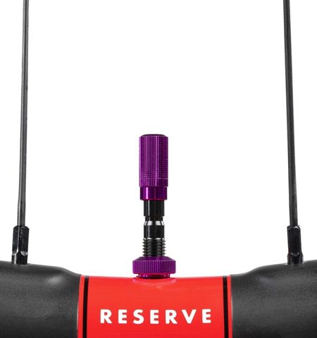 Reserve Fillmore Valve Caps
