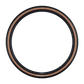 Schwalbe Tyre G-One R Pro
