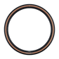 Schwalbe Tyre G-One RS Pro