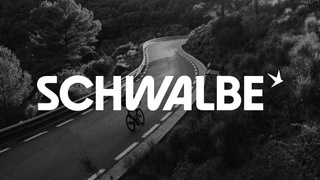 Schwalbe