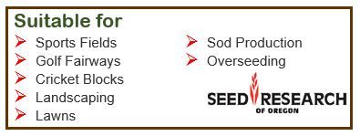 RYEGRASS  SR4650