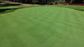 BENTGRASS 007 KG