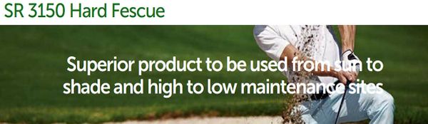 SR3150  Hard Fescue