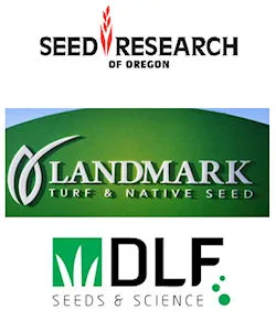 TURF SEEDS