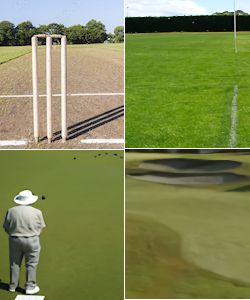 VIEW BY USAGE