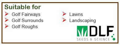 FESCUE HARD LEONIDAS