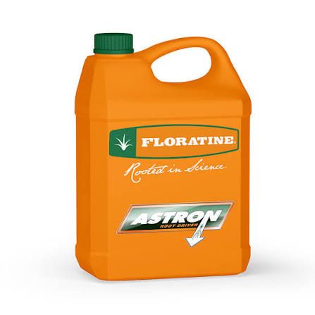 ASTRON 10L