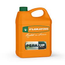 PERK UP 10L