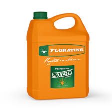PROTESYN 10L