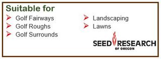 FESCUE TURF TALL SR8650 KG