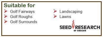 FESCUE TURF TALL SR8650 KG