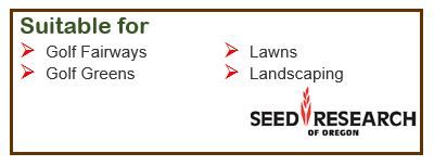 FESCUE CHEWINGS SR5130
