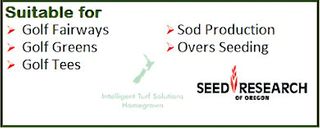 BENTGRASS 007 KG