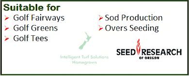 BENTGRASS 007 KG
