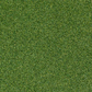 16mm Premium Putting Green Golf Grass - 3.75m wide sold per Lm