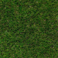 35mm Premium Landscape  Grass - 1.83m wide sold per Lm