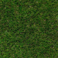 35mm Premium Landscape Grass - 3.75m wide sold per Lm
