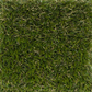 40mm Premium Landscape Grass - 3.75m wide sold per Lm