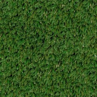 SOCCER GRASS