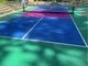 PICKLEBALL COURT