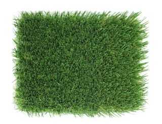 30mm Hi-Density Non-infill Premium Sports Grass - 3.75m wide sold per Lm