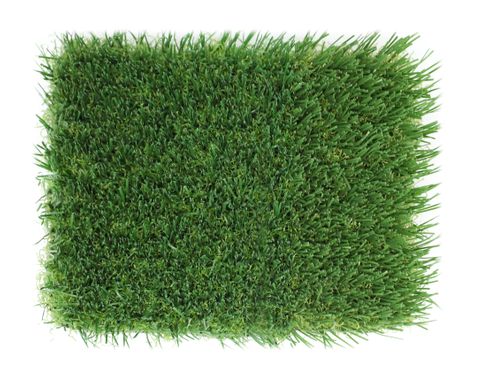 30mm Hi-Density Non-infill Premium Sports Grass - 3.75m wide sold per Lm