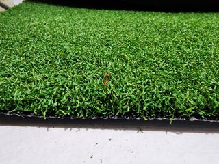 HOCKEY GRASS