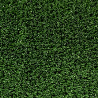 TENNIS GRASS