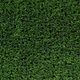 TENNIS GRASS