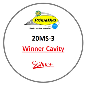 20MS-3 WINNER CAVITY