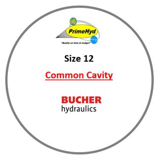 COMMON CAVITY SIZE 12