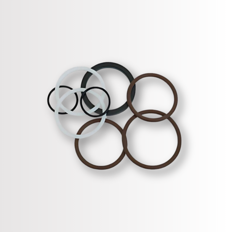 SEAL KIT SUIT 1CPBD300F2P 406AA00035A (VITON)