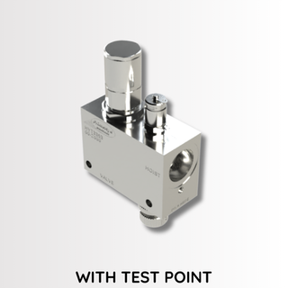 AIR HOIST CHECK VALVE ASSEMBLY - 1" BSPP WITH TEST POINT