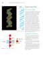 Biology 4/5 for MYP International Student 2Ed