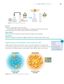 Chemistry 4/5 for MYP International Student 2Ed