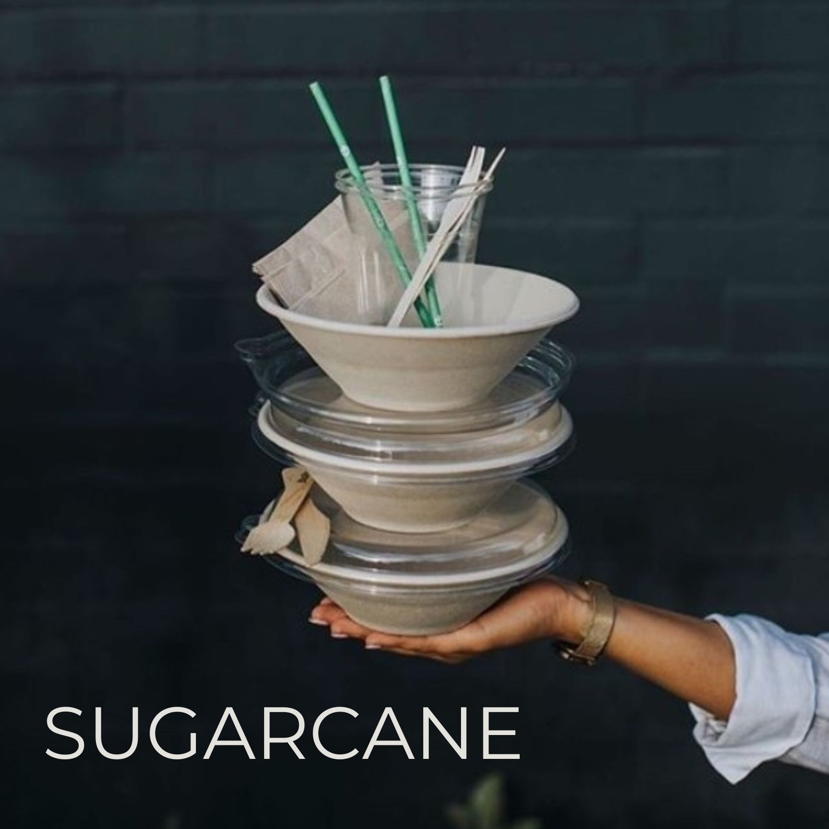 SUGARCANE