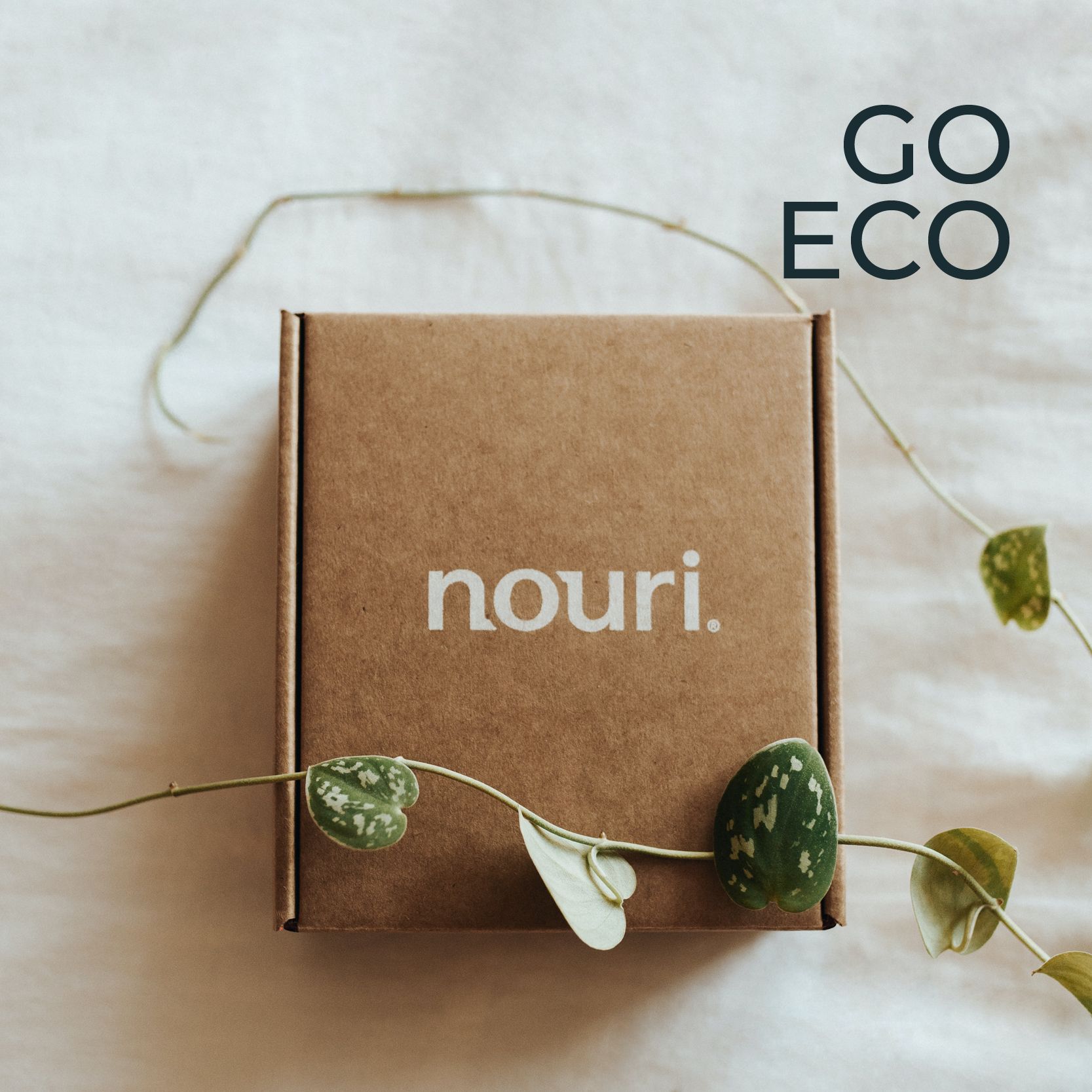 Pronto Packaging - Go Eco