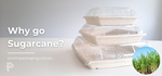 What is Bagasse Packaging?