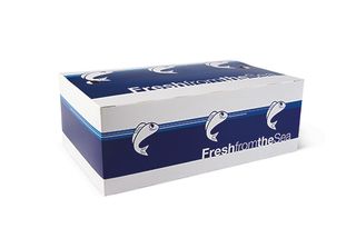 Large Seafood Box (250 x 150 x 90)(Qty: 250)