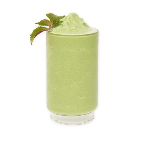 Bon Accord Matcha 1kg